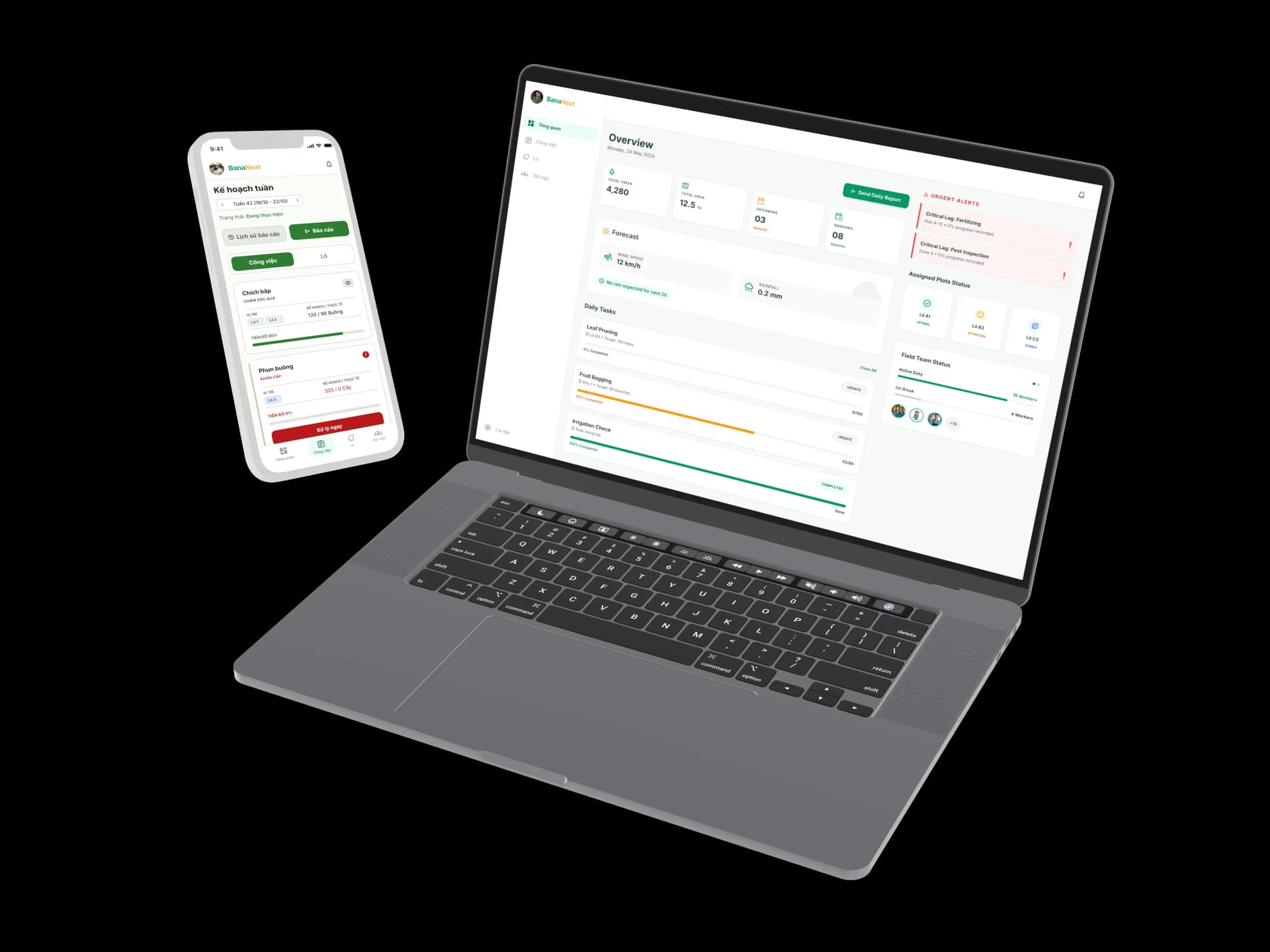 BanaNext product overview